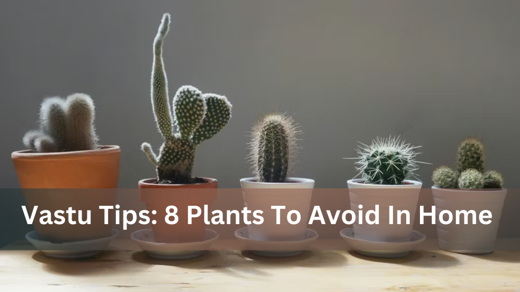 8-Plants-That-Should-Never-Be-Grown-at-Home-According-to-Vastu-Shastra