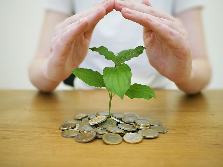 5-zodiac-signs-that-set-to-achieve-financial-freedom-in-2025