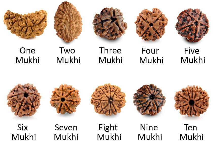 types-of-Rudraksha-and-their-unique-benefits