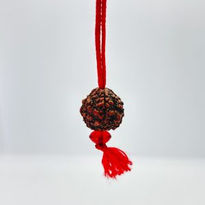 Abhimantrit  Rudraksha Mala