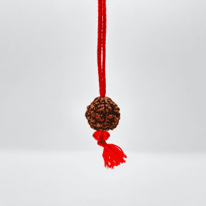 Abhimantrit  Rudraksha Mala